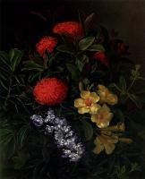 Johan Laurentz Jensen - Allemanda Ixora And Orchids
